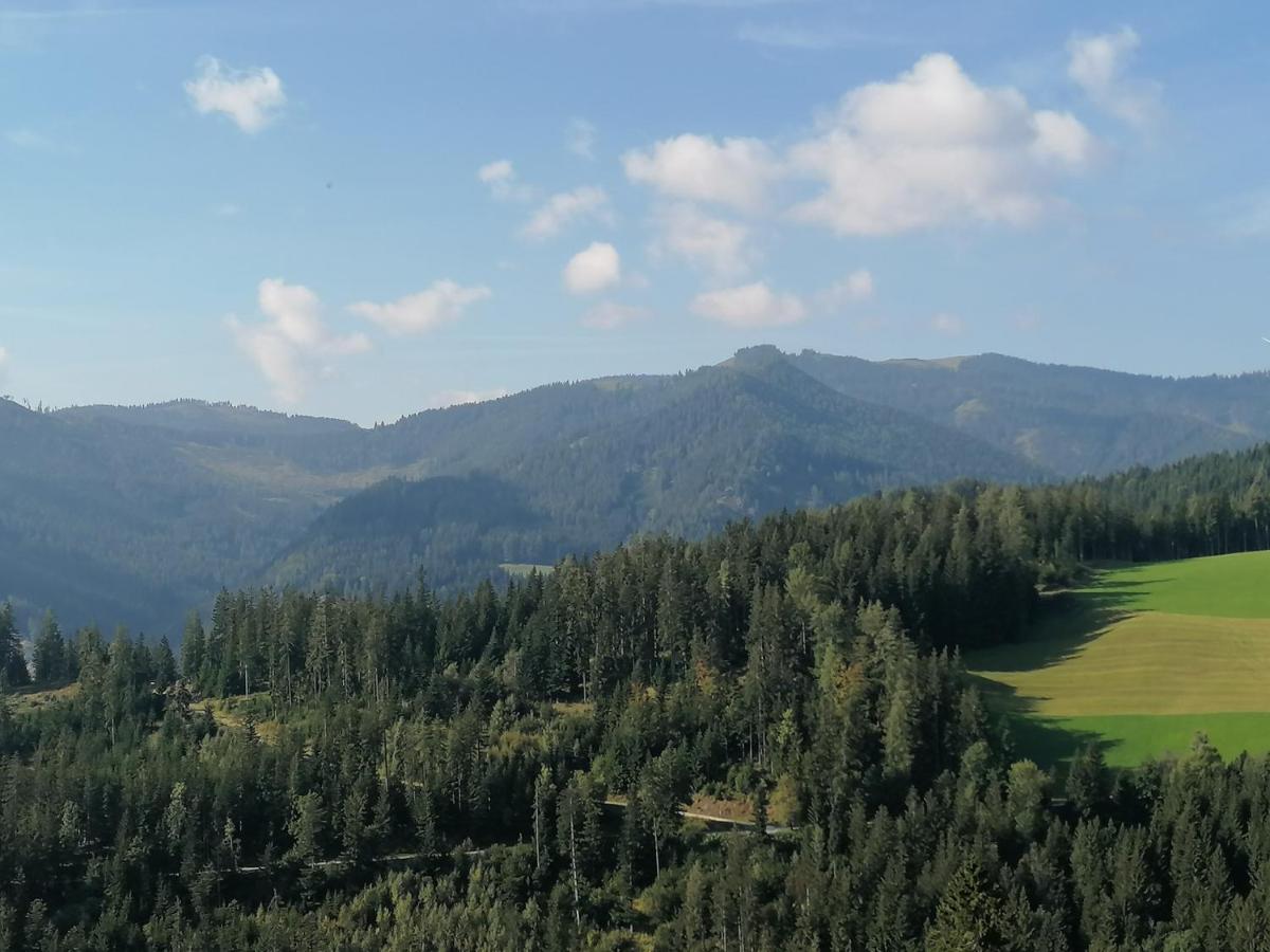 Вілла Ferienhaus Stubalpenblick Salla Екстер'єр фото