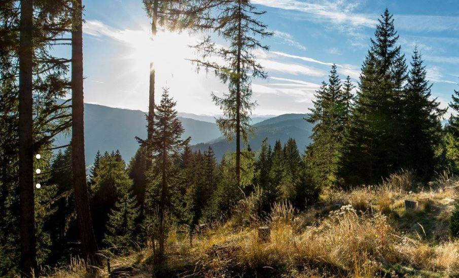 Вілла Ferienhaus Stubalpenblick Salla Екстер'єр фото